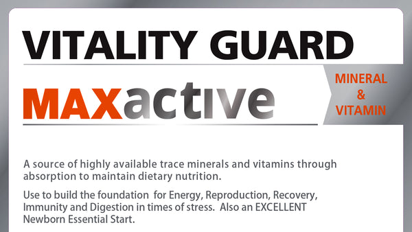 Vitality Guard