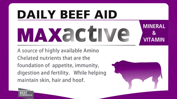 Daily Beef Aid