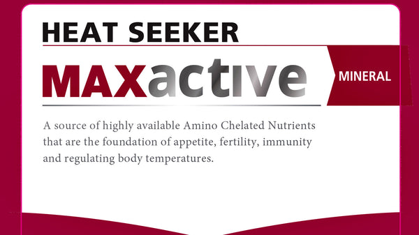 Heat Seeker