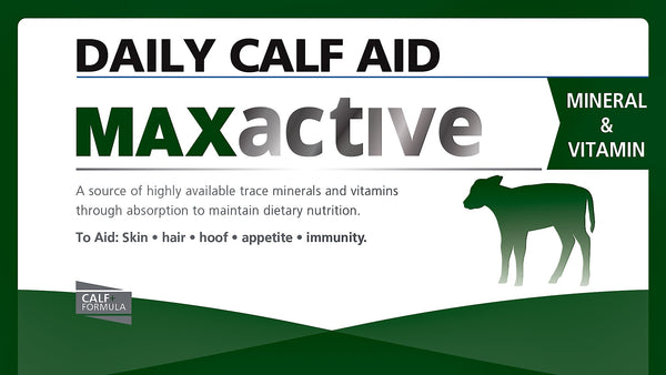 Daily Calf Aid